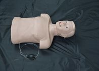تنبيب نصف الجسم للبالغين الإسعافات الأولية CPR