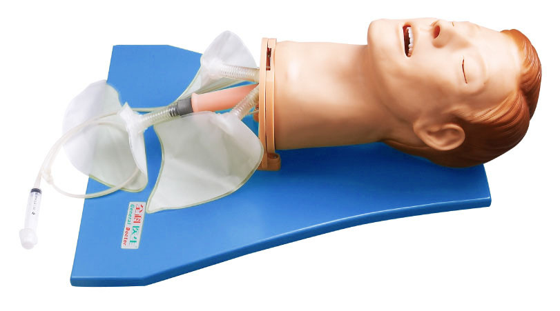 إمس محاكي / ممرات التدريب مجرى الهواء لمراقبة الرئة الجهاز التنفسي التدريب