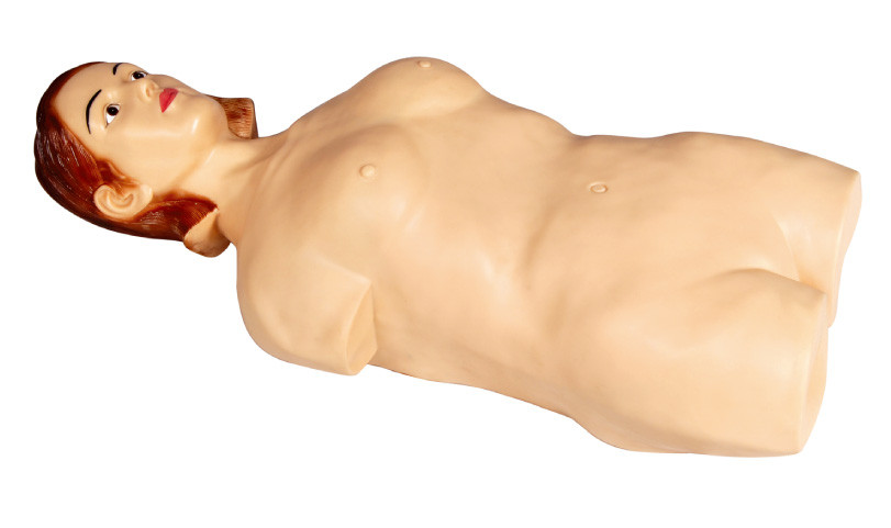 أنثى نصف - الجسم البطن جس محاكي القزم للكلية، مستشفى التعلم