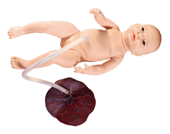 الإناث الصغيرة حديثي الولادة مع الحبل السري التمريض التمريض محاكاة نموذج الجنين