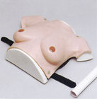 أنثى الجزء العلوي من الجسم مستشفى محاكاة مودريت حجم الثدي لفحص ورم الثدي