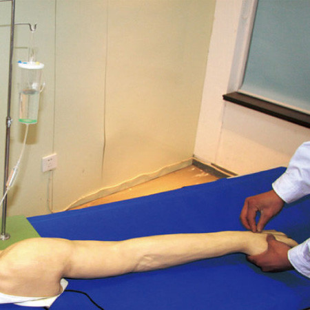 Full - functional venipuncture training arm For Nursing College , iv practice arm