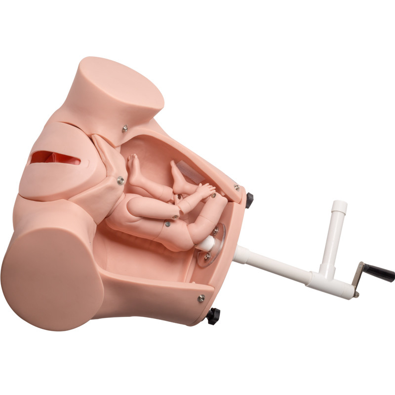 SGS PVC تدريب محاكاة ولادة الطفل مع الحبل السري