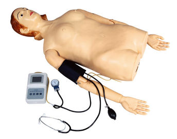 أنثى نصف - الجسم جس محاكي مع قياس ضغط الدم للمدرسة، مستشفى